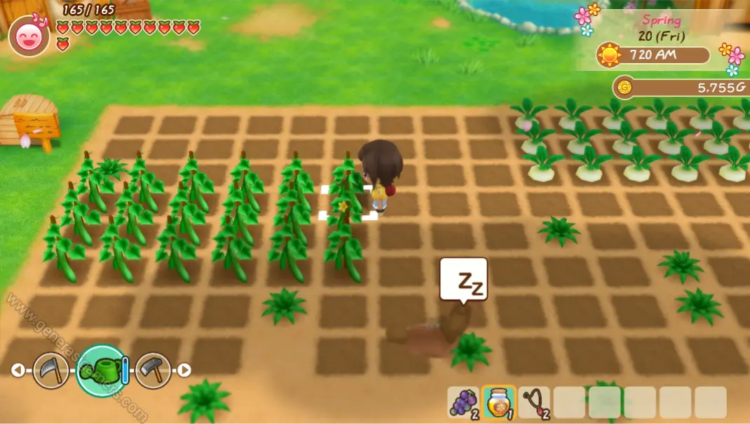 Story Of Seasons Friends Of Mineral Town NSP + Update Download 1